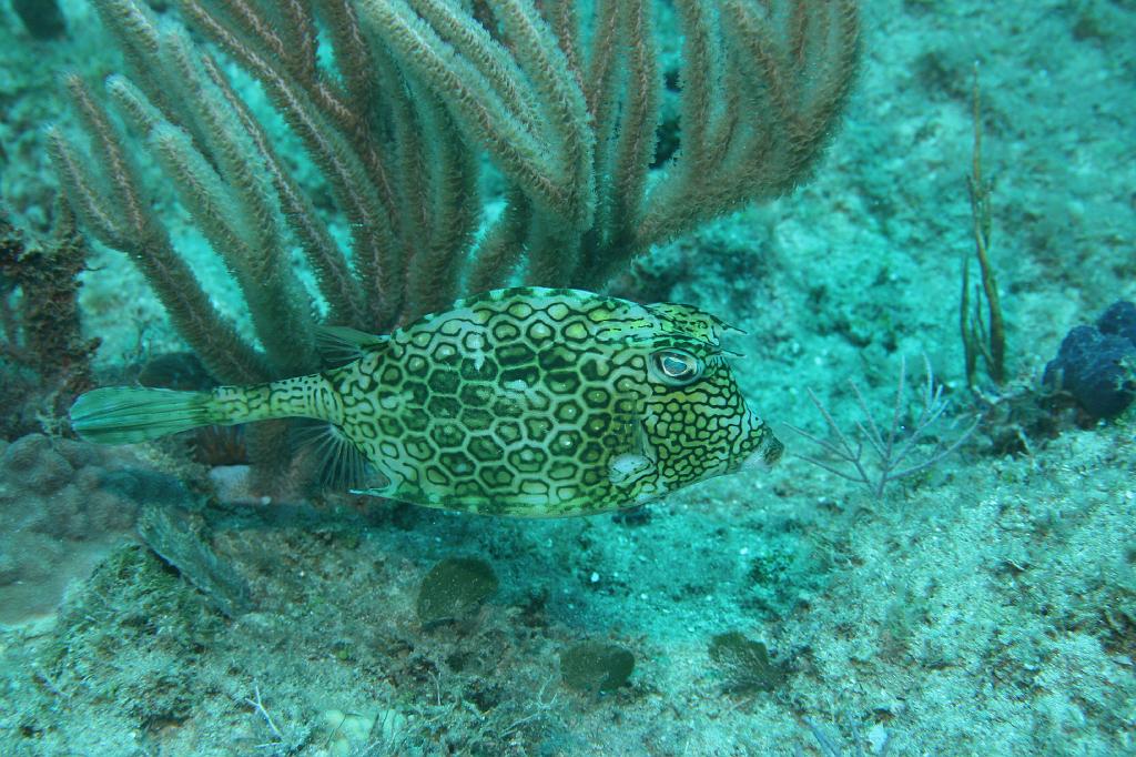 2008-05-19 14-59-23 H.JPG